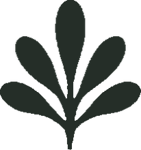 Clean Collective San Diego logo